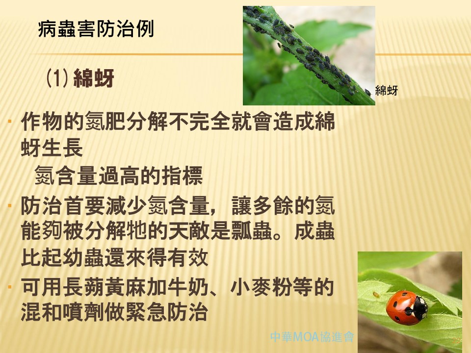 71af555a583b61ae29bba66d6c25aef7.JPG